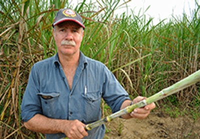 Irrigation and Drainage Management - #2