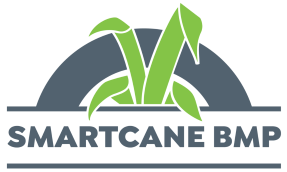 Smartcane BMP