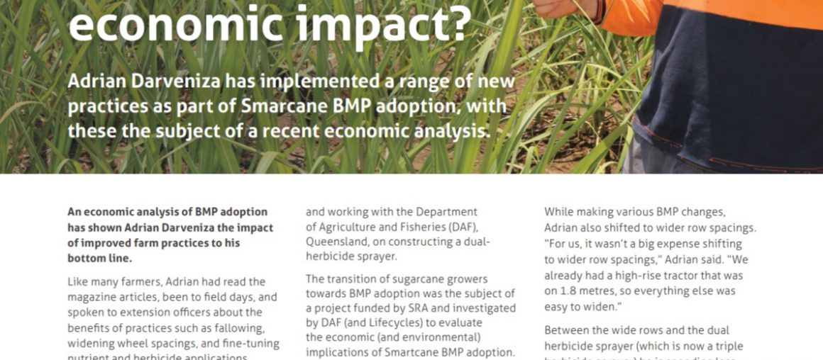 What's the economic impact of Smartcane BMP?