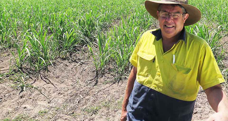 My journey through Smartcane BMP